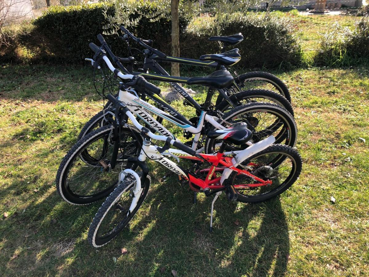Madis&free Bikes *